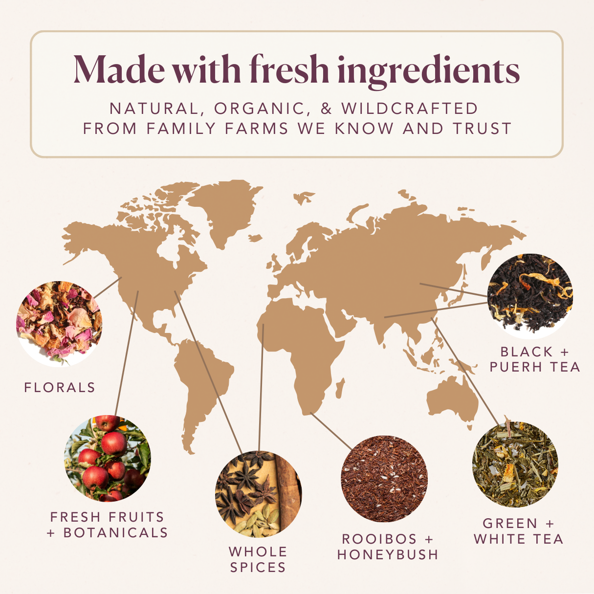 Pumpkin Spice Brulee Oolong Tea